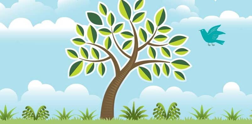 cartoon picture of a tree