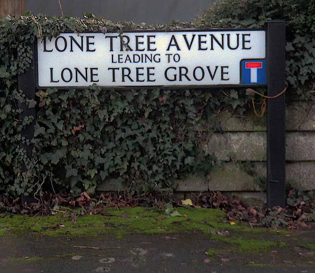 4 bedroom detached house for sale in Lone Tree Avenue