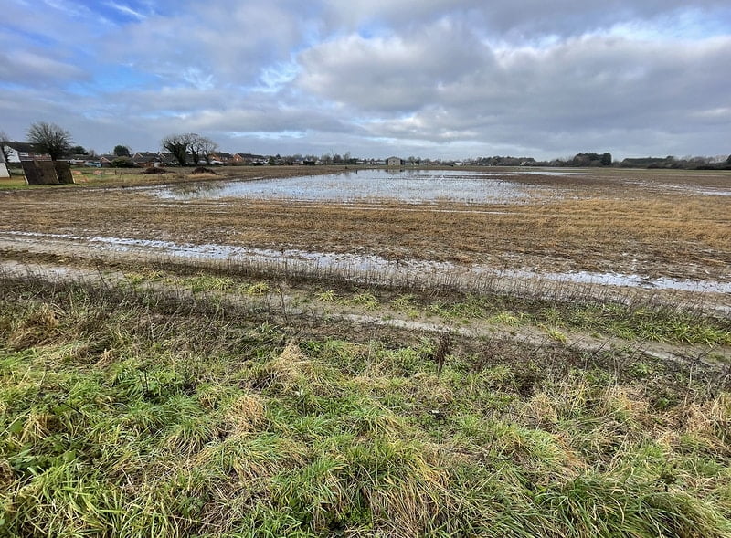 Buxhall Farm site David Berry